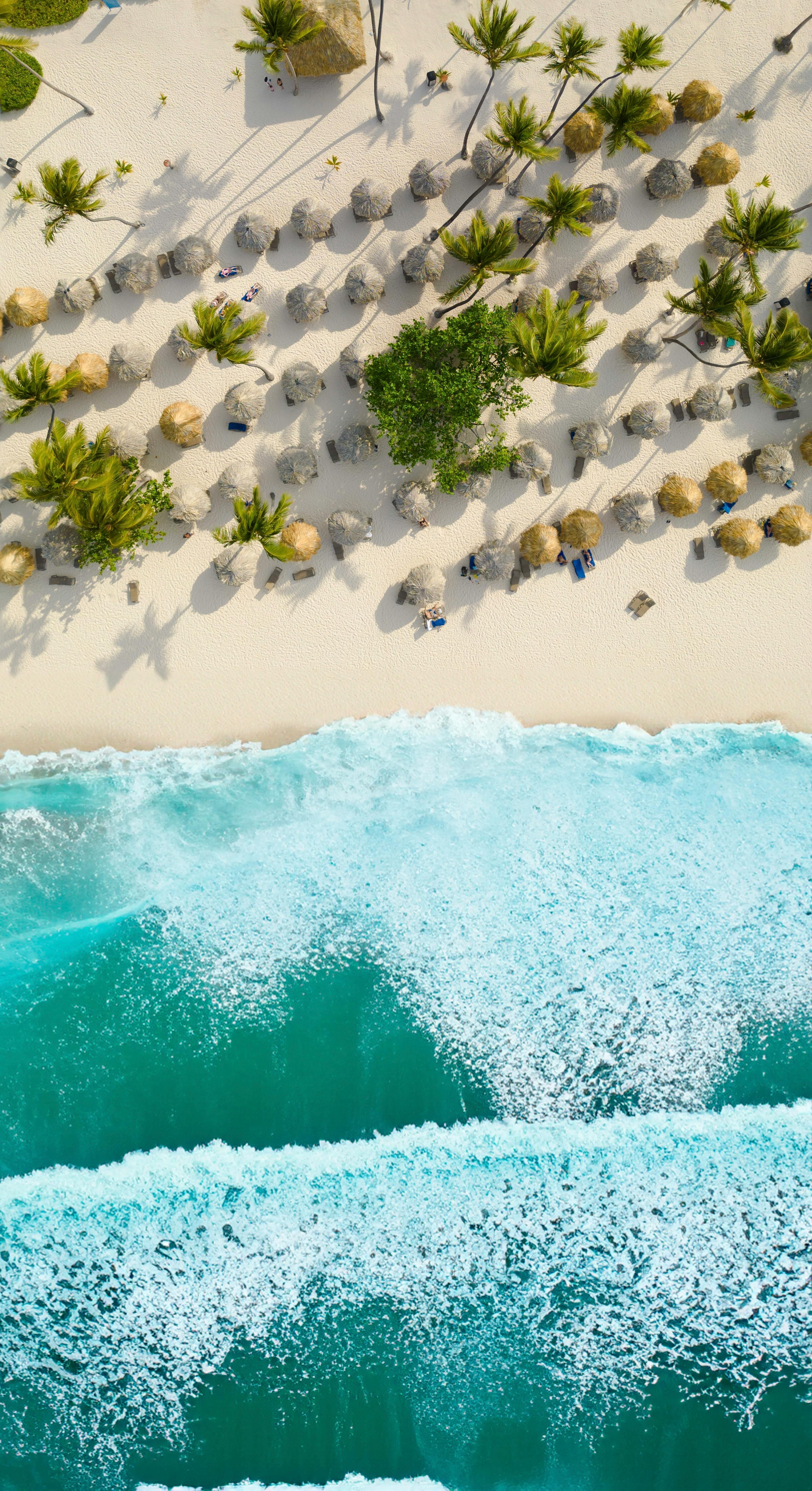 Promo Punta Cana noviembre